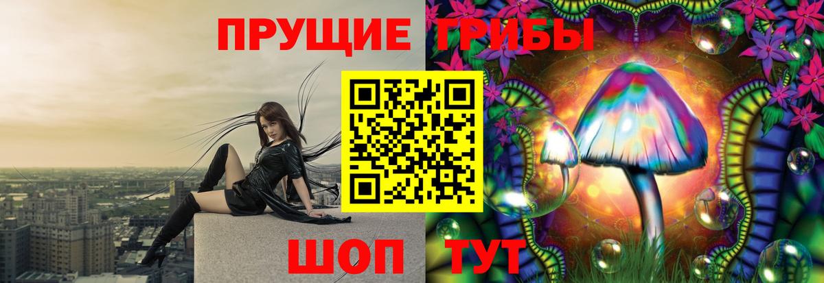 Бахчисарай  Галлюциногенные грибы Psilocybine cubensis  Вход с VPN 